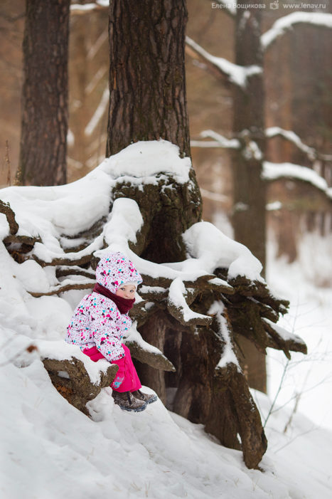 зимняя фотопрогулка в лесу фотограф семейный детский
