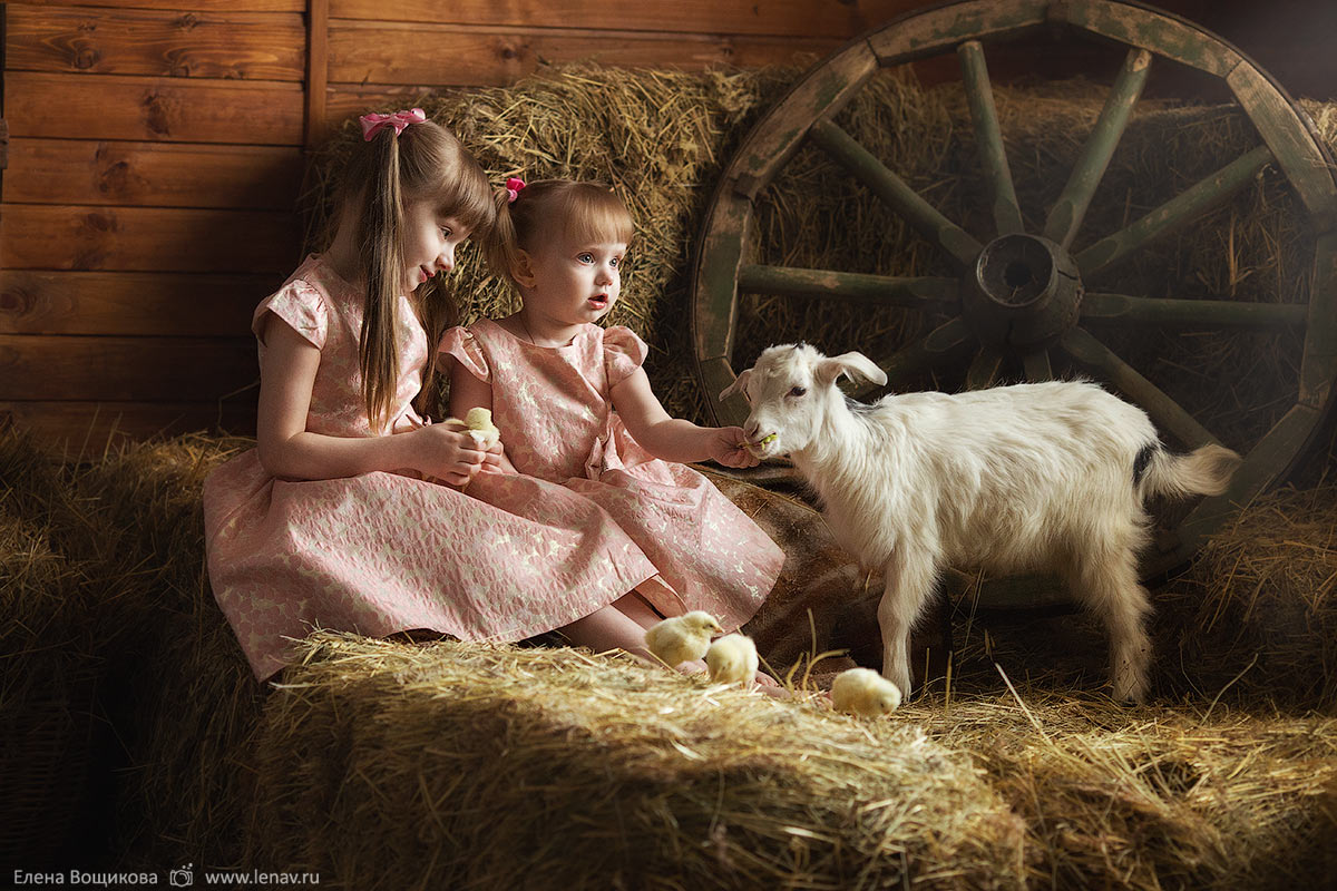 фотосессия с животными для детей фотограф семейный детский