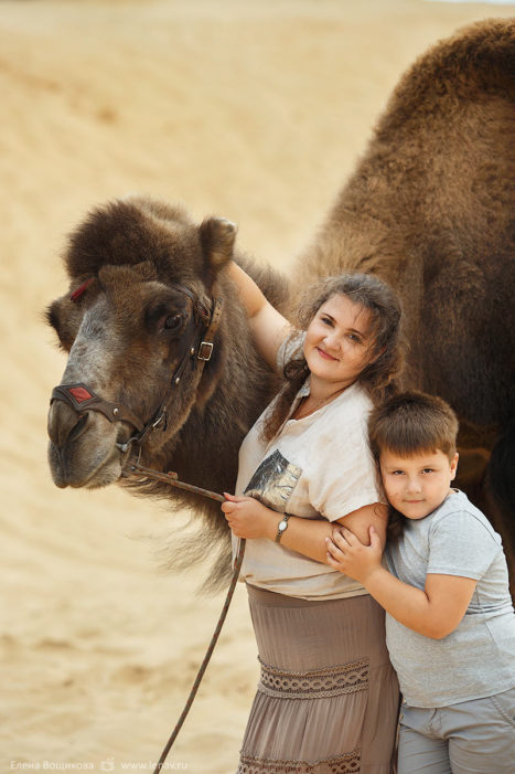 фотосессия с верблюдом нижний новгород