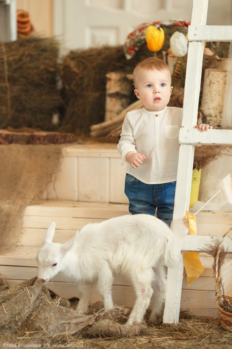 пасхальная семейная детская фотосессия с утятами кроликами козленком