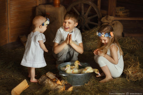 фотосессия детей с животными детский фотограф нижний новгород