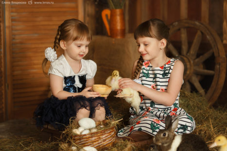 фотосессия детей с животными детский фотограф нижний новгород