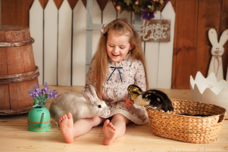 фотопроект детский на пасху в фотостудии с животными фотограф детский
